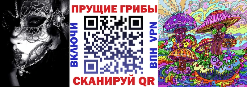 Псилоцибиновые грибы Magic Shrooms  купить закладку  Лагань 